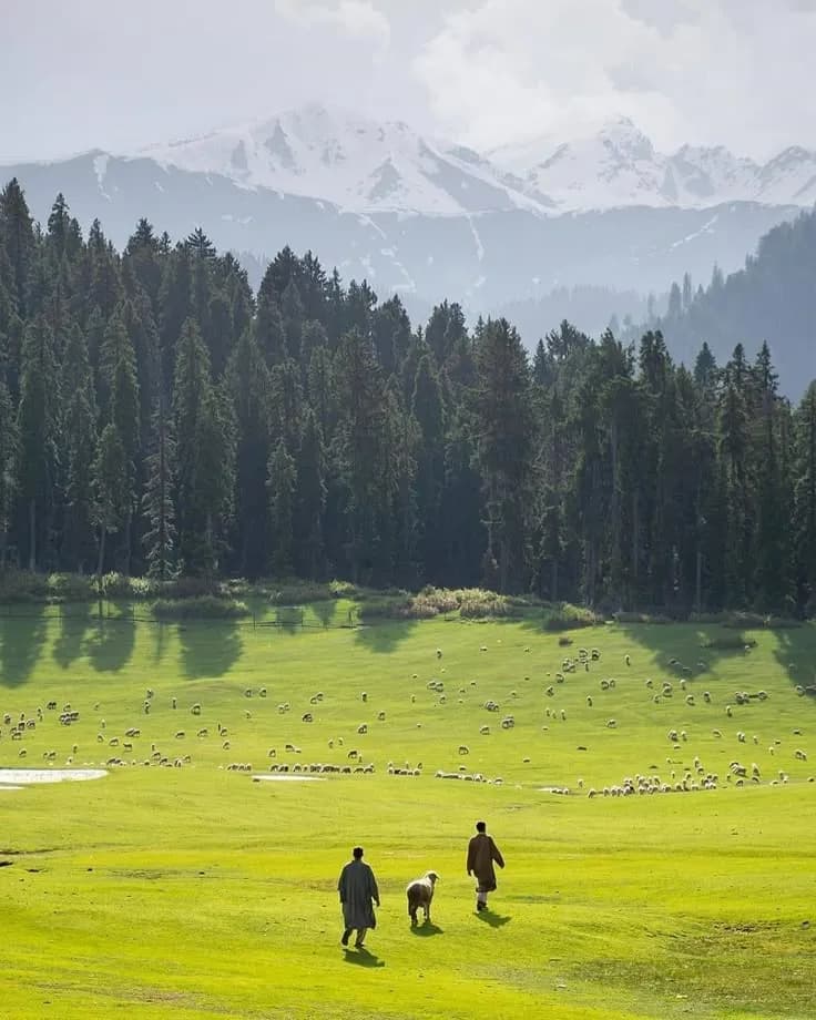 Kashmir moment