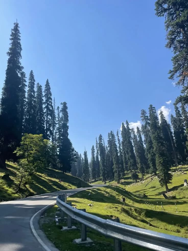 Kashmir moment