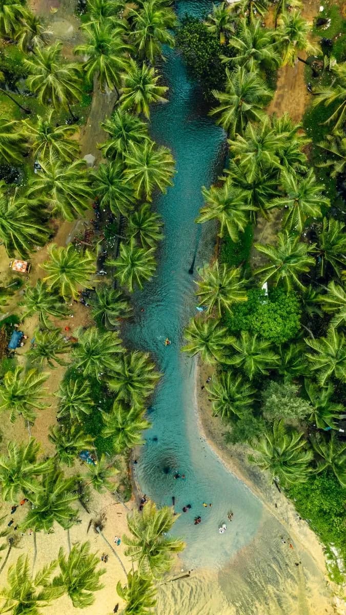 Kerala moment