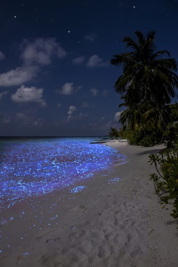 Maldives moment
