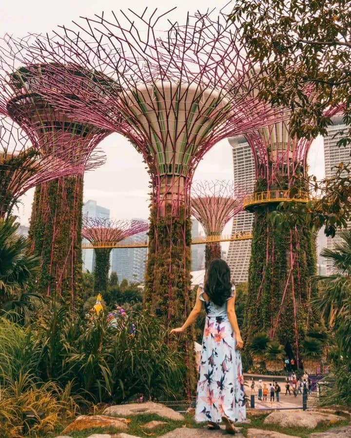 Singapore moment