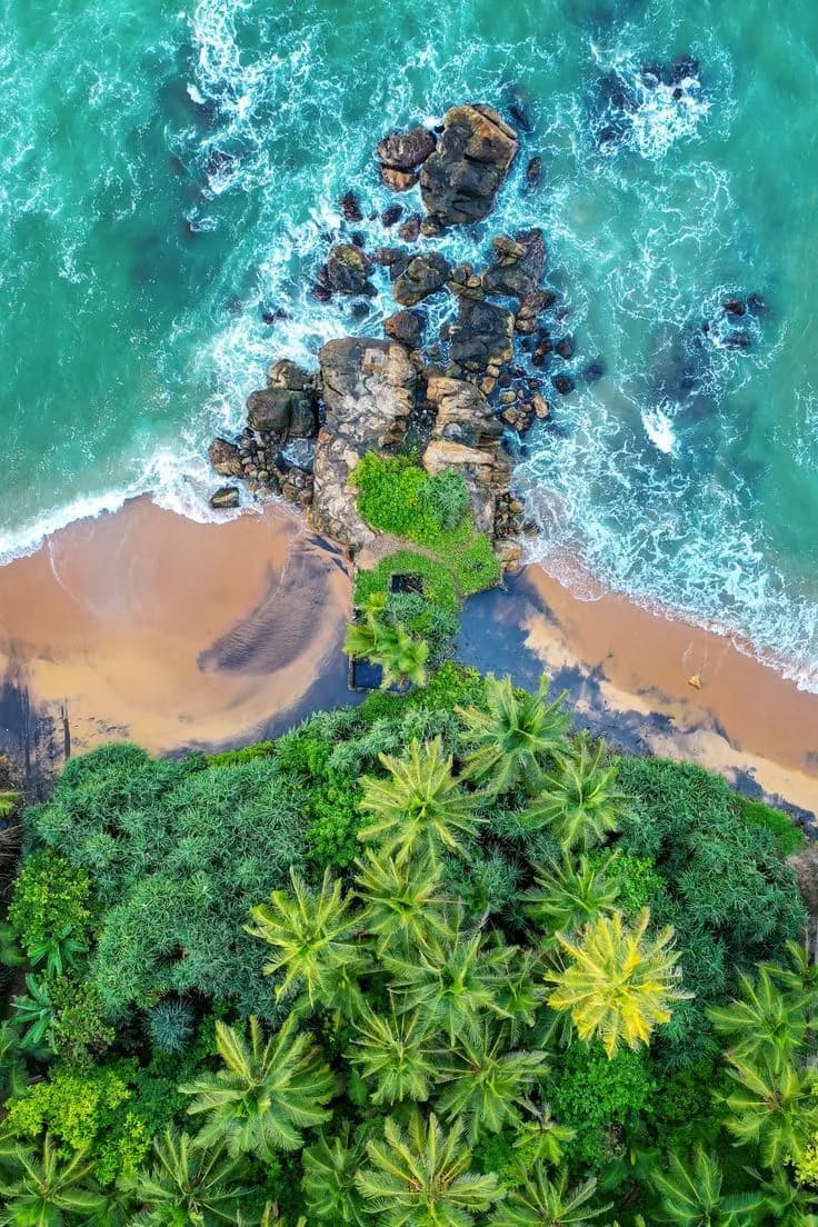 Sri Lanka Tea Trails Safaris