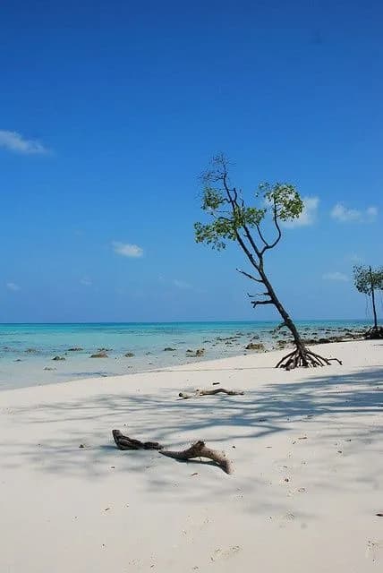 Andaman moment
