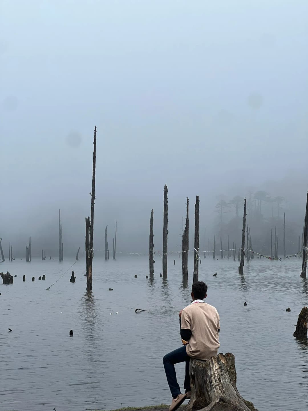 Arunachal Pradesh moment