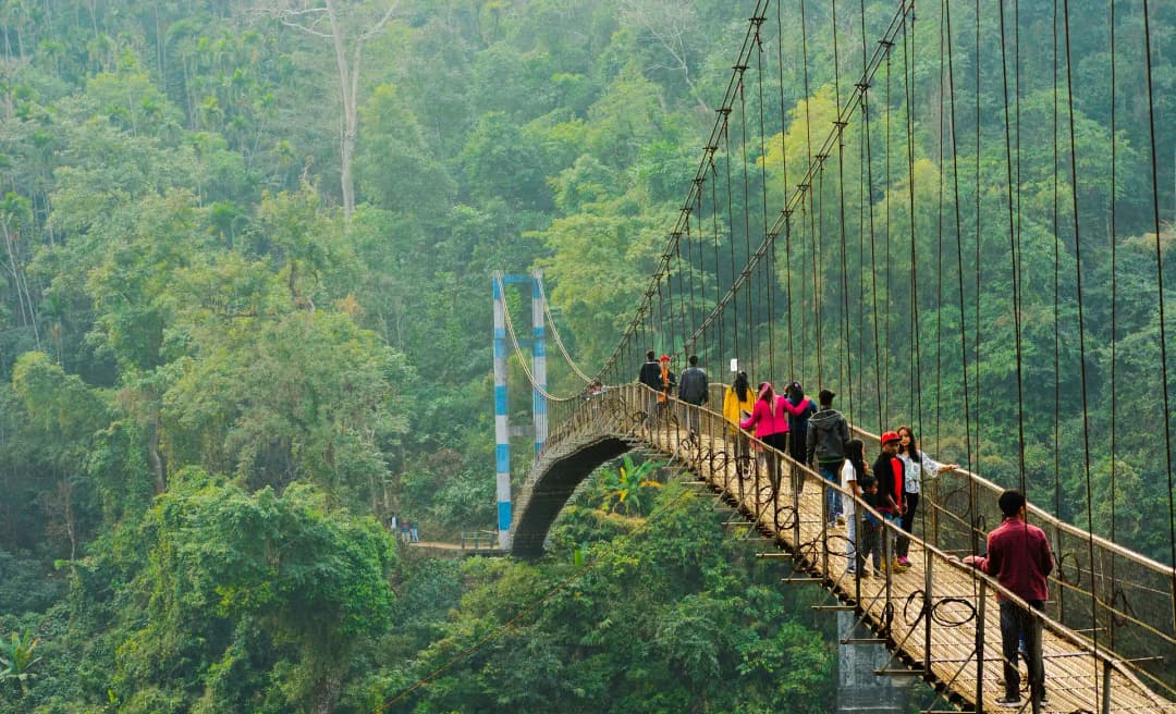 Best Things to Do in Meghalaya: Northeast India's Hidden Paradise