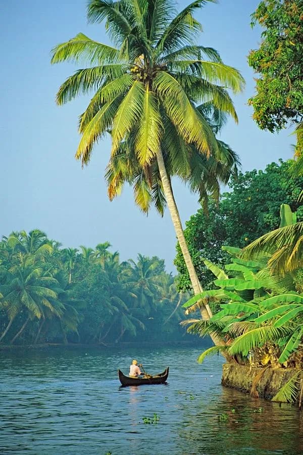 Kerala moment